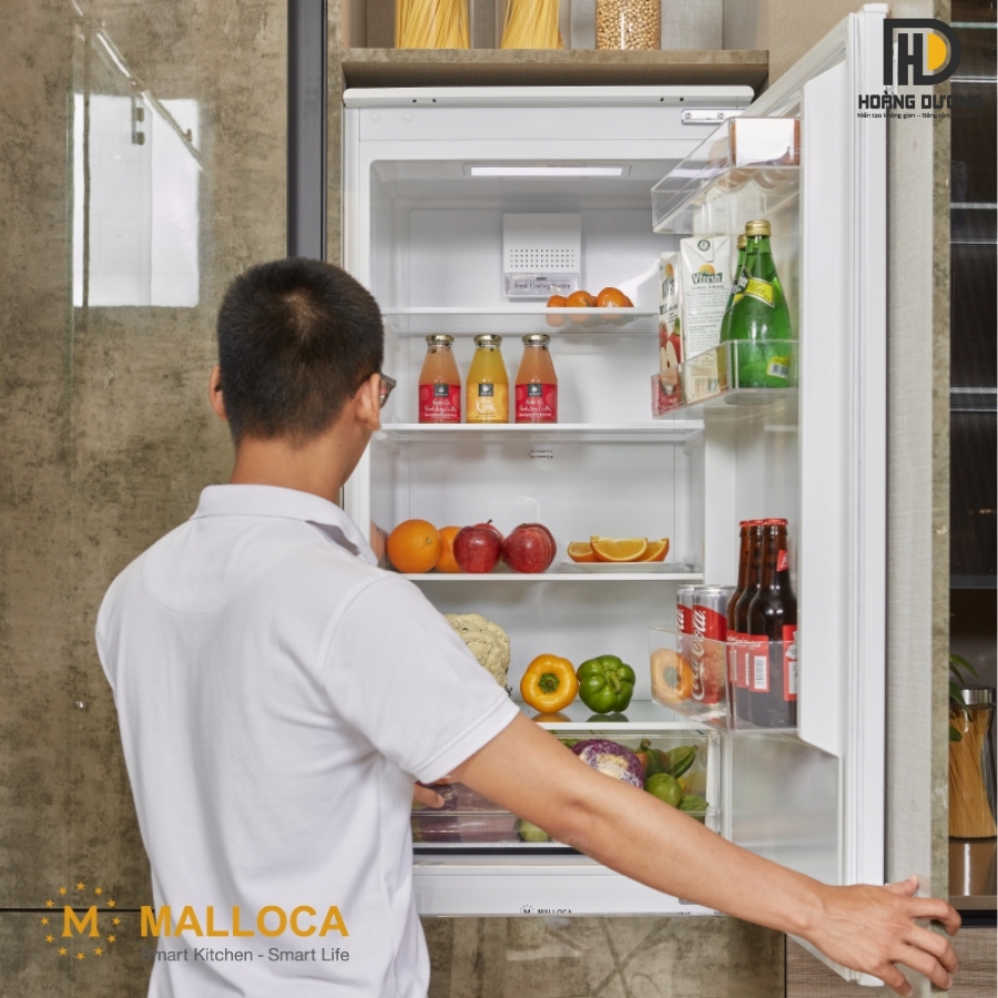 Tủ lạnh âm tủ Malloca MF-241BCD giúp thực phẩm luôn được bảo quản tươi ngon