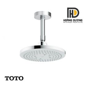 Bát Sen TOTO TBW01003B1A Gắn Trần
