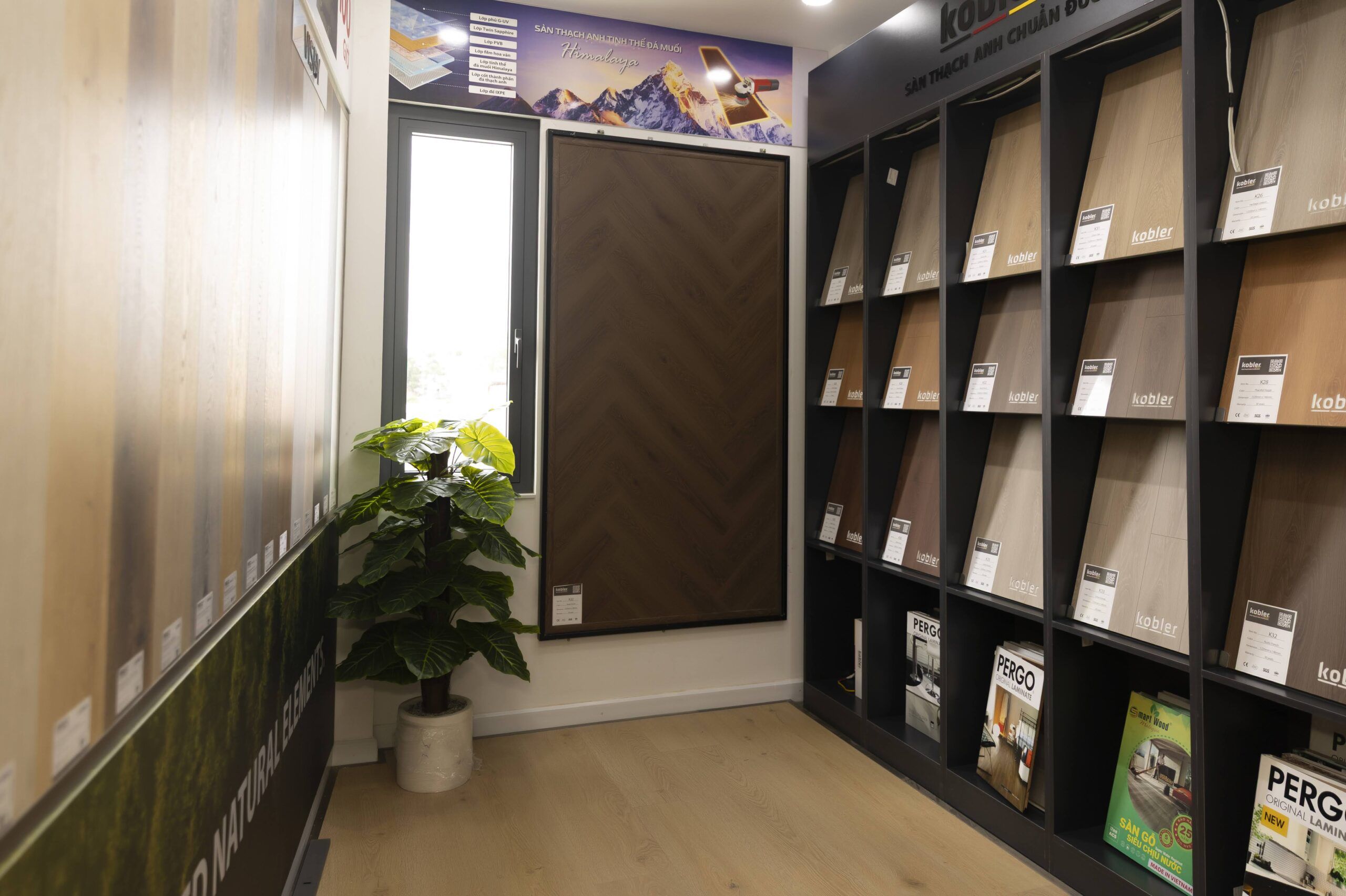 showroom khai trương