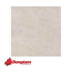 gạch kháng khuẩn porcelanain 6060